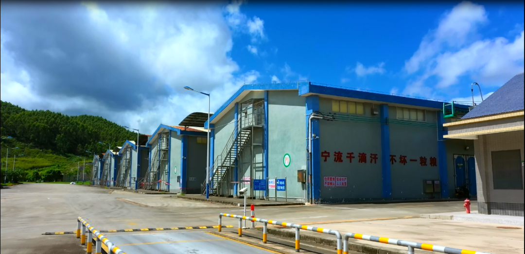 千宁时代网络